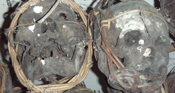 borneo human skulls