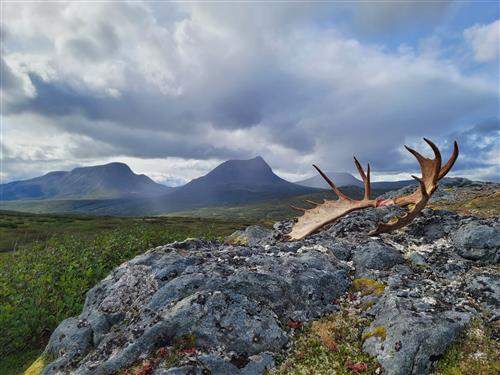 10 Tips For Surviving the Frozen Tundra! — Bull Moose Patrol